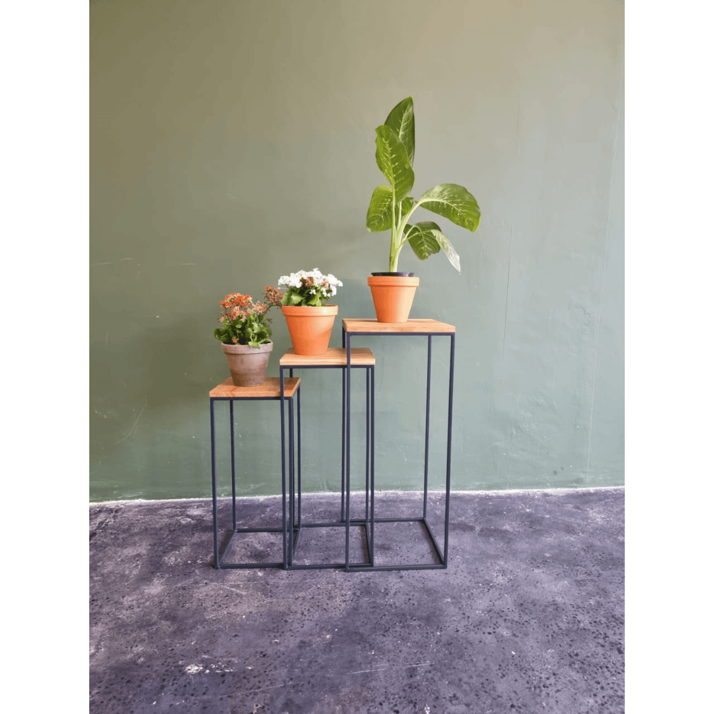 Ingy Plant Stands